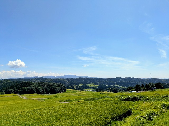 f:id:navi110:20250825174400j:image