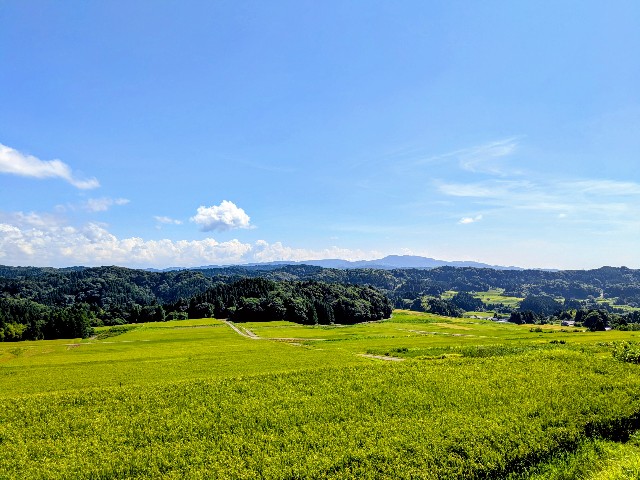 f:id:navi110:20250825174428j:image