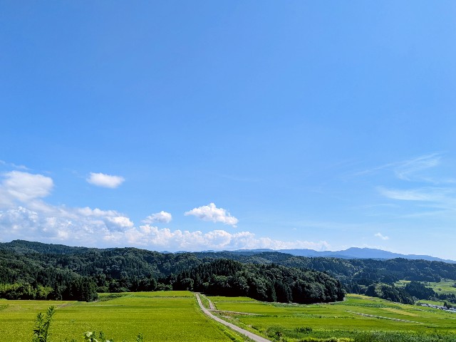 f:id:navi110:20250825174608j:image