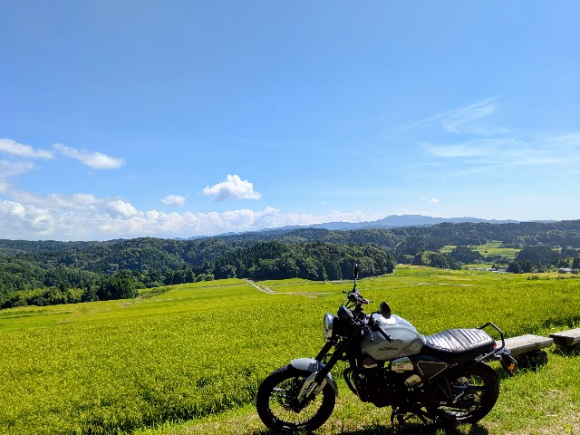 f:id:navi110:20250825174712j:image