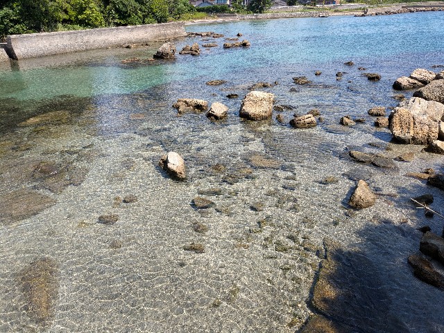 f:id:navi110:20250825215924j:image