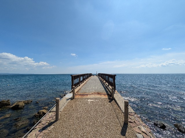 f:id:navi110:20250825221304j:image