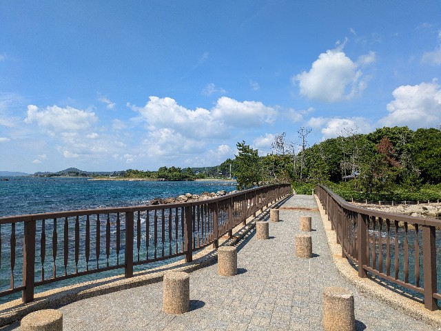 f:id:navi110:20250825221333j:image