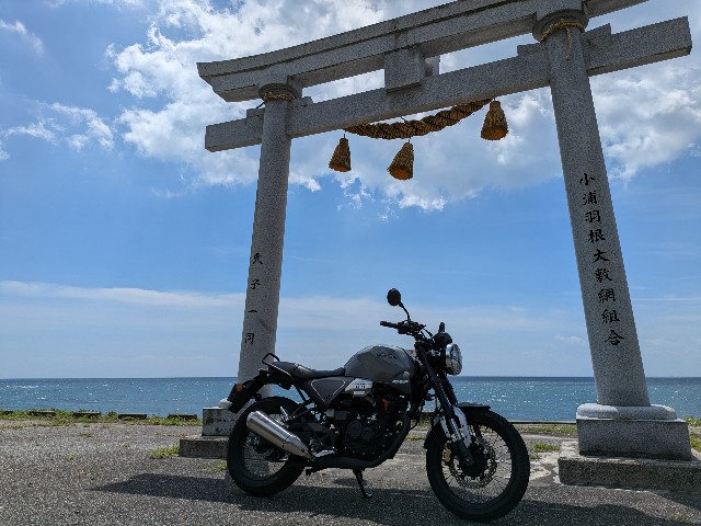 f:id:navi110:20250825225510j:image