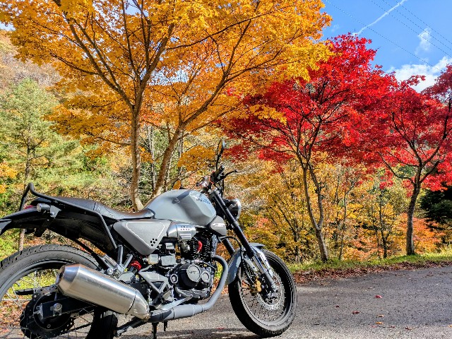 f:id:navi110:20251110192224j:image