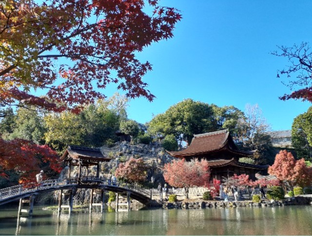 f:id:navi110:20251110212439j:image