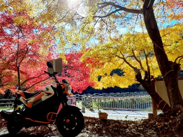 f:id:navi110:20251110214103j:image