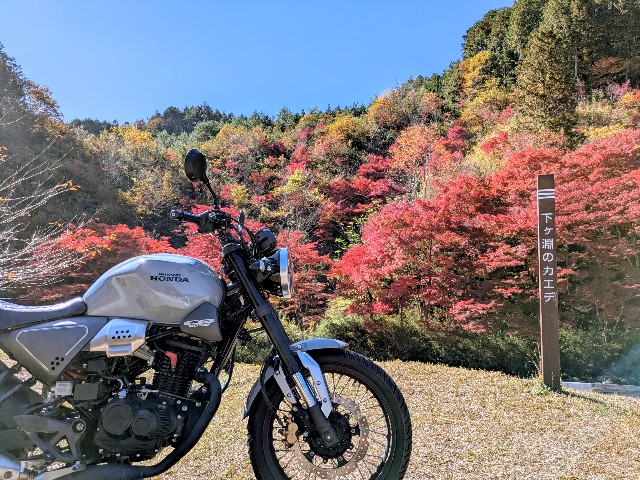 f:id:navi110:20251115171436j:image