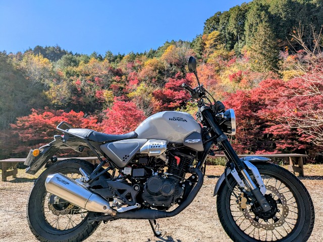 f:id:navi110:20251115171459j:image