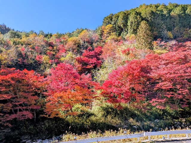 f:id:navi110:20251115171717j:image