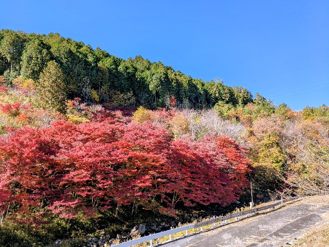 f:id:navi110:20251115171746j:image