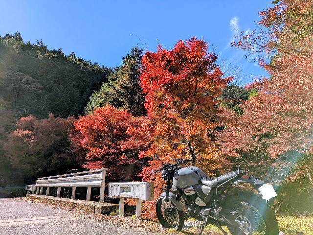 f:id:navi110:20251115172507j:image