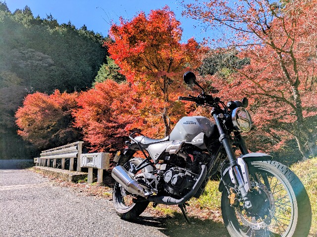 f:id:navi110:20251115172524j:image