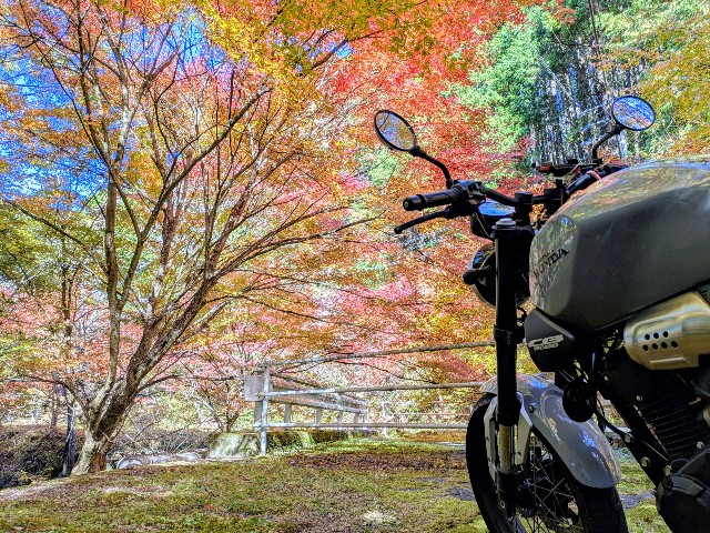 f:id:navi110:20251115172542j:image