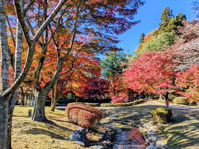 f:id:navi110:20251115173236j:image