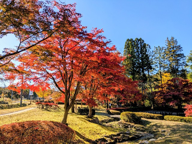 f:id:navi110:20251115173253j:image