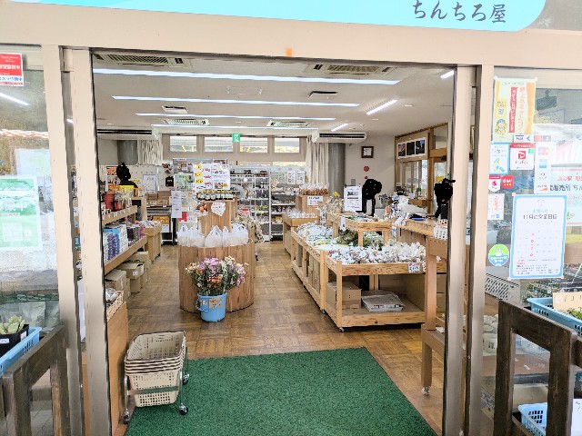 f:id:navi110:20251117175711j:image