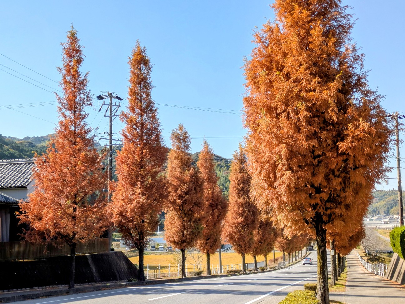 f:id:navi110:20251130170711j:image