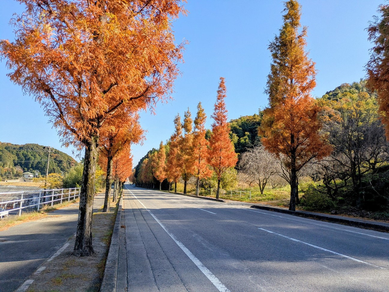 f:id:navi110:20251130170816j:image