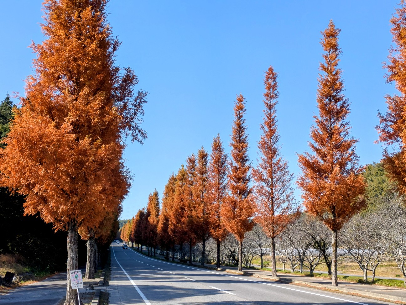 f:id:navi110:20251130170834j:image