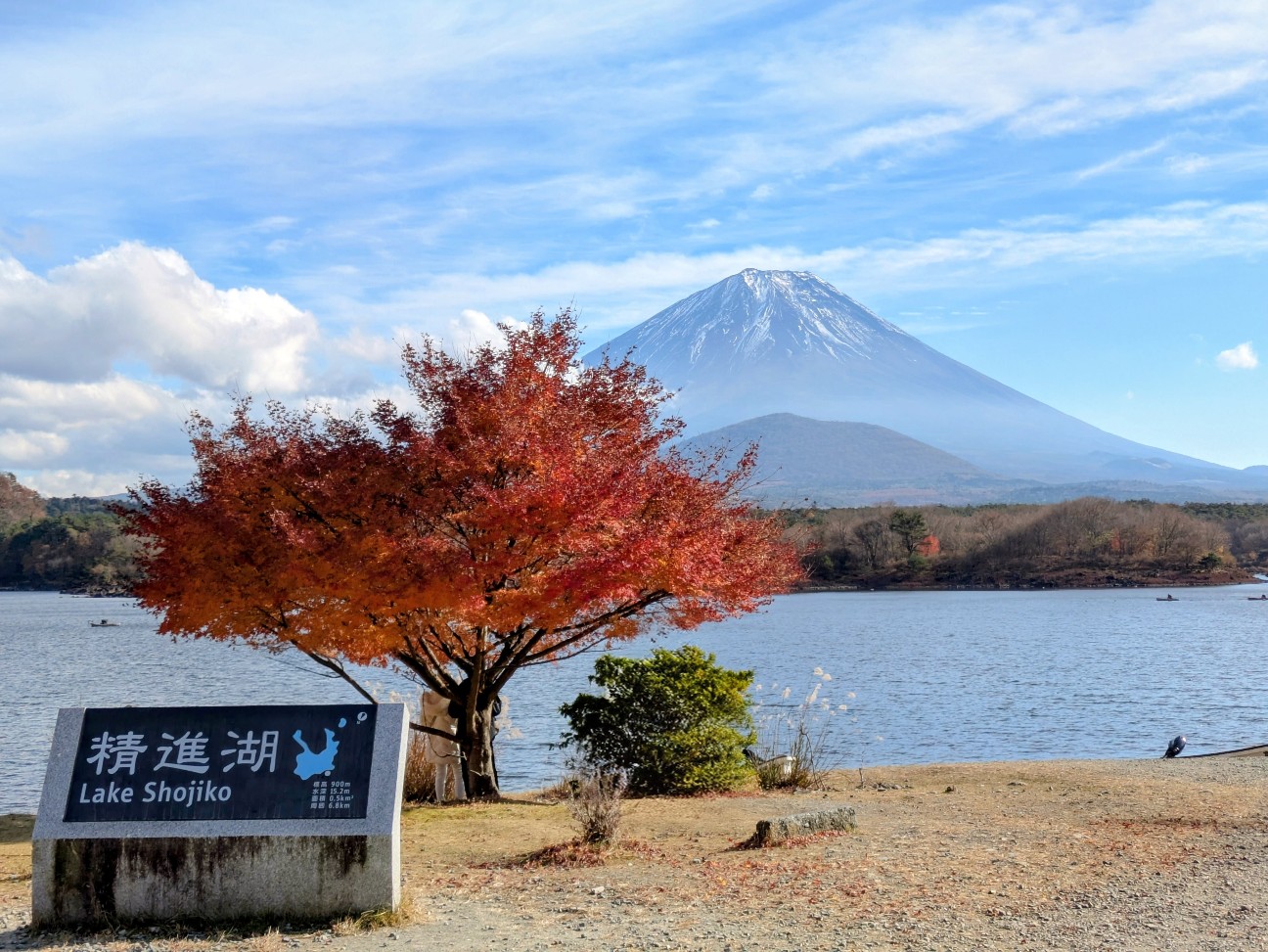 f:id:navi110:20251206182826j:image