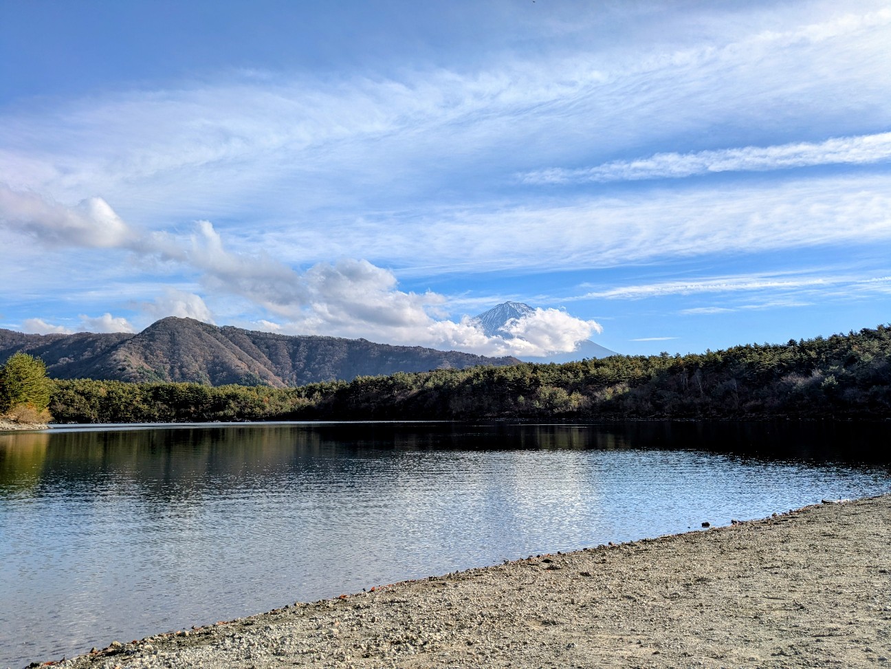 f:id:navi110:20251207175754j:image