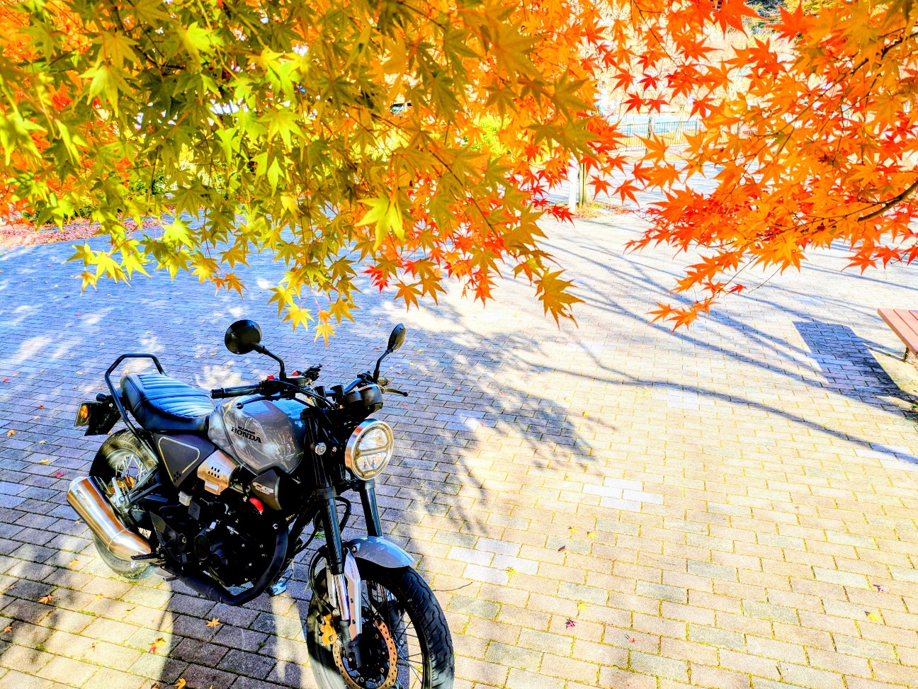 f:id:navi110:20251207180622j:image