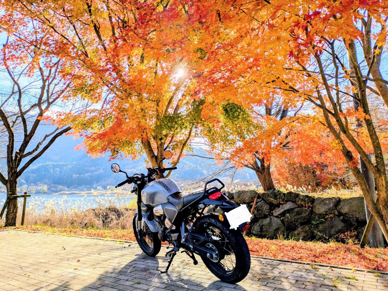 f:id:navi110:20251207180639j:image