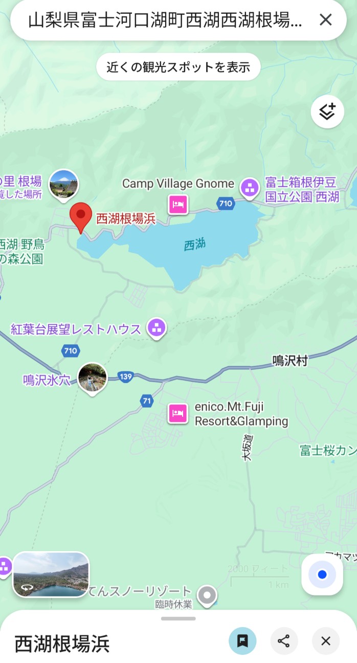 f:id:navi110:20251207181239j:image