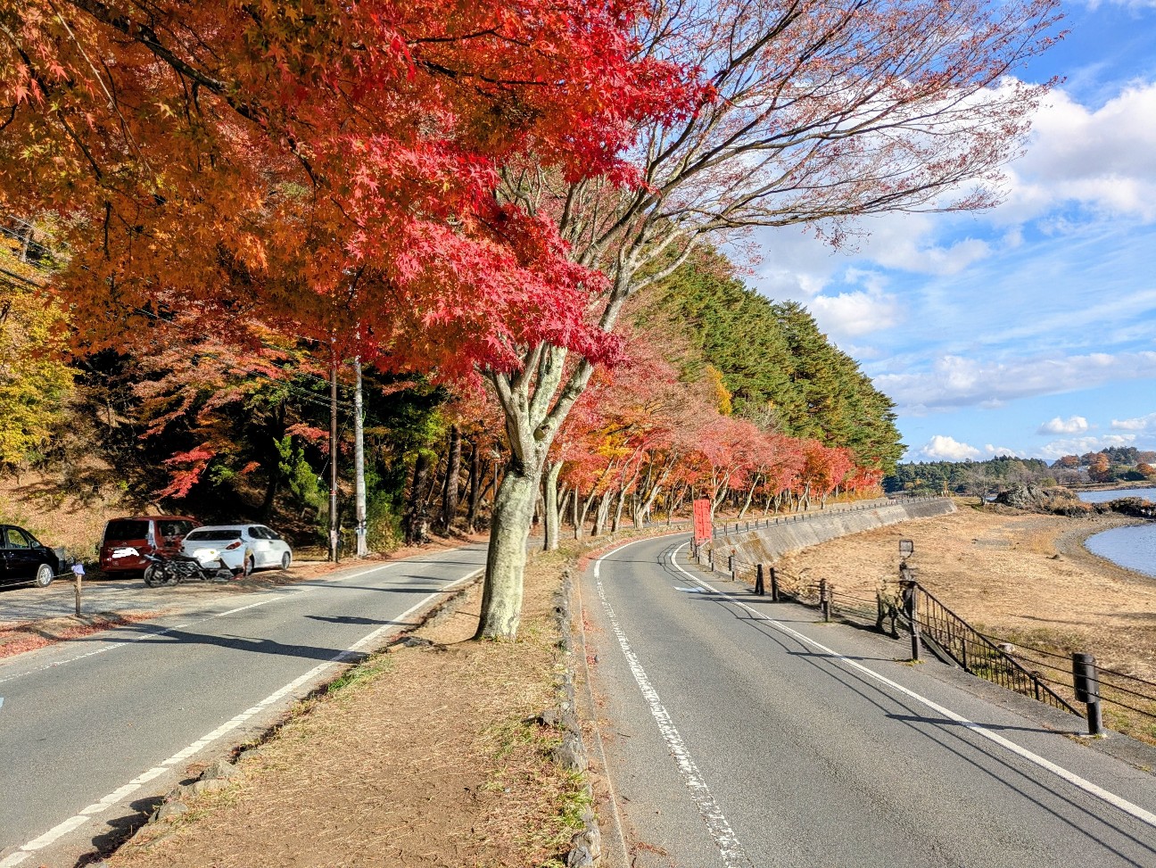 f:id:navi110:20251212210330j:image