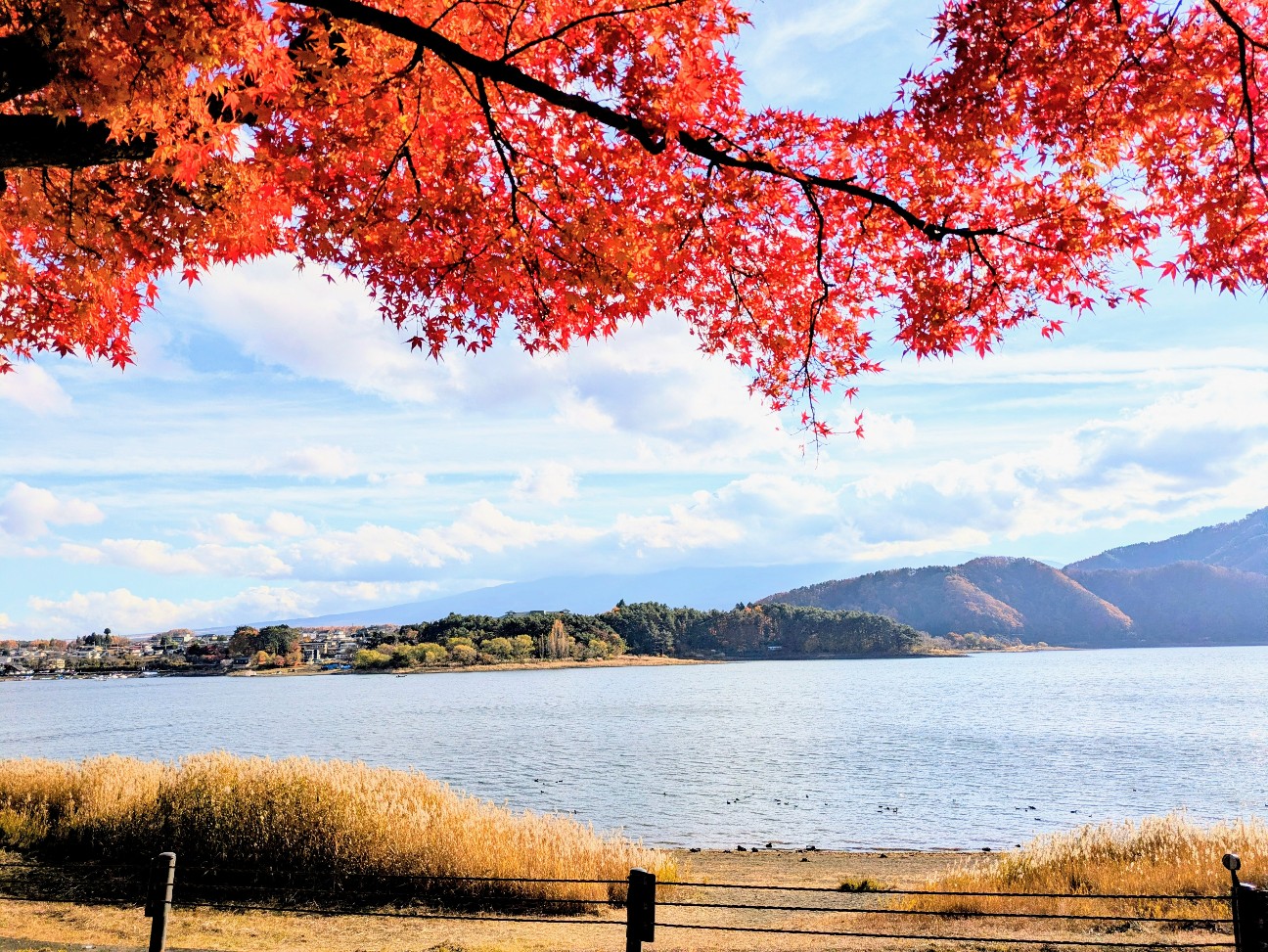 f:id:navi110:20251212210506j:image