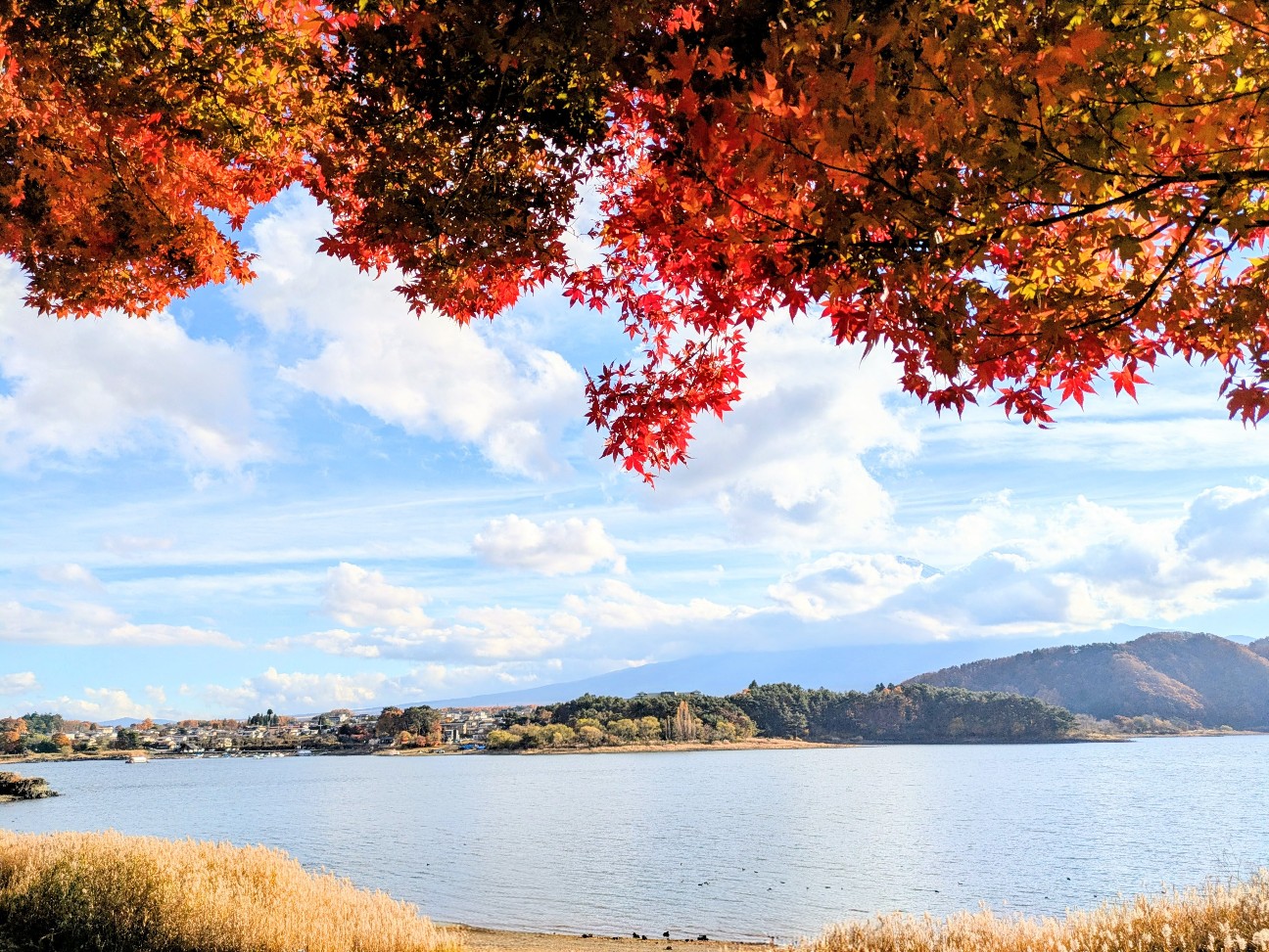 f:id:navi110:20251212210527j:image