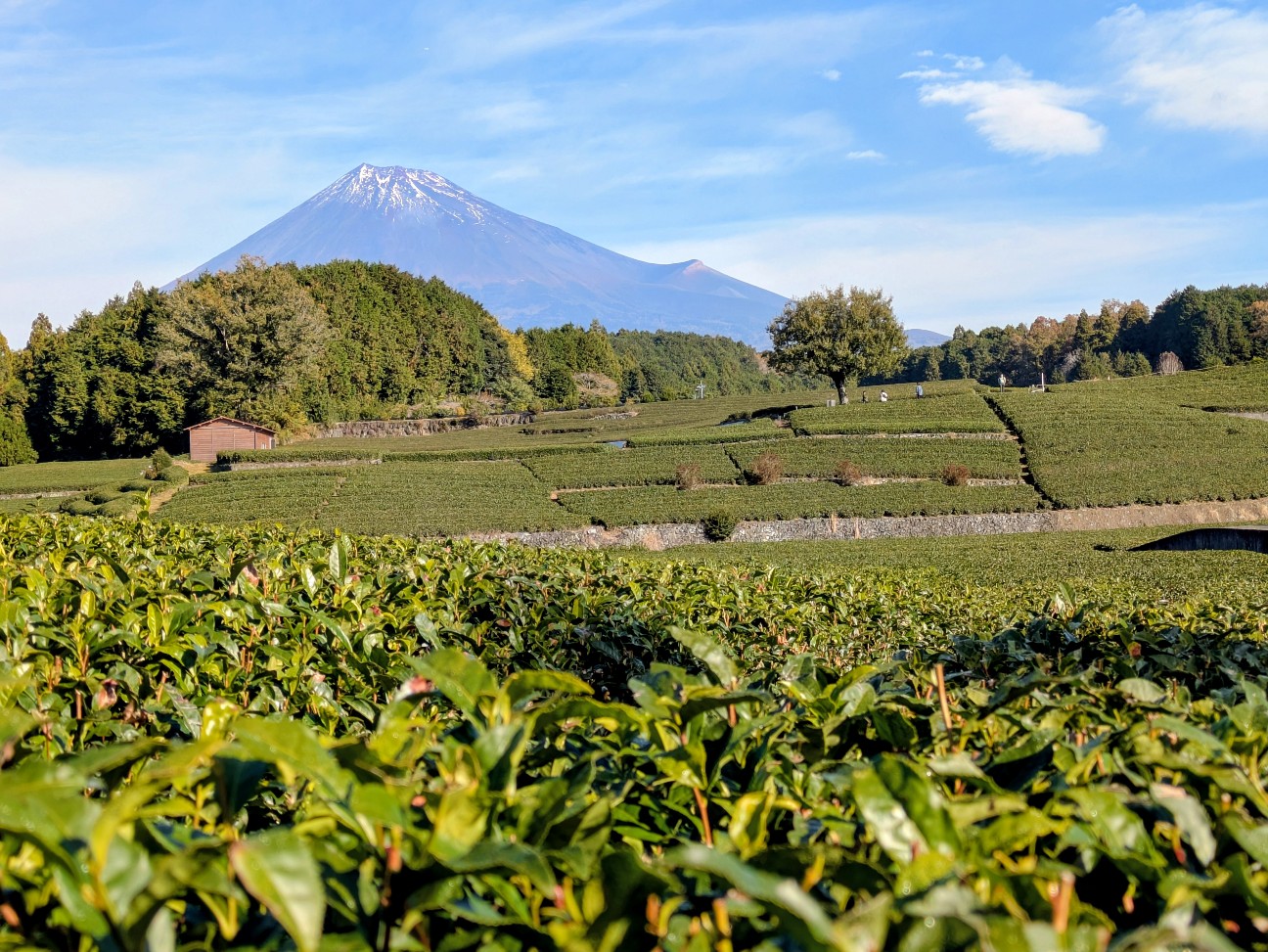 f:id:navi110:20251220174422j:image