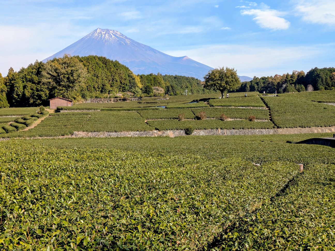 f:id:navi110:20251220174938j:image