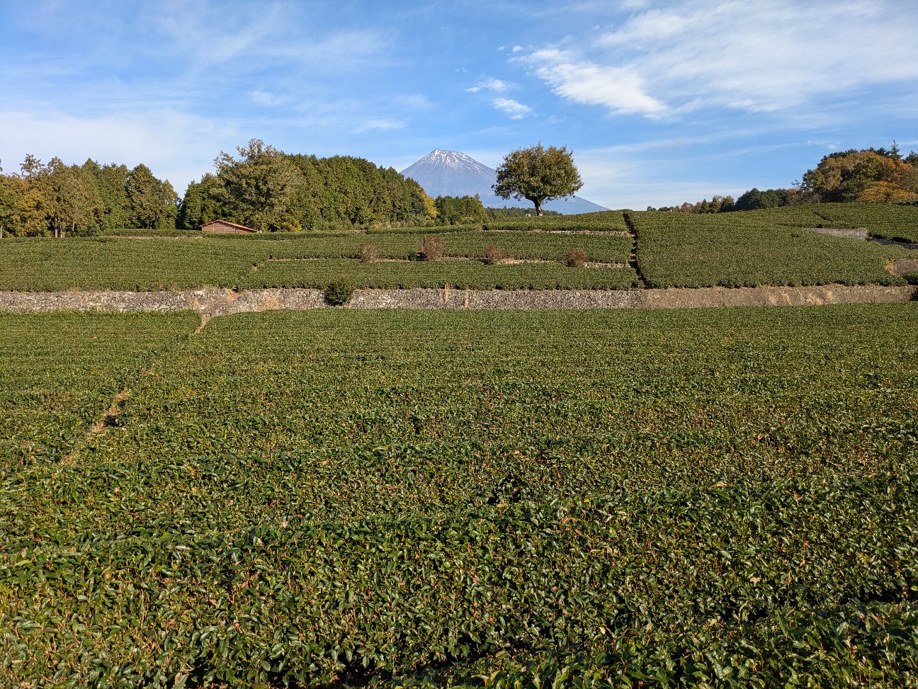 f:id:navi110:20251220175005j:image