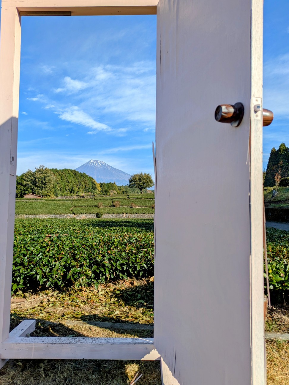 f:id:navi110:20251220180118j:image