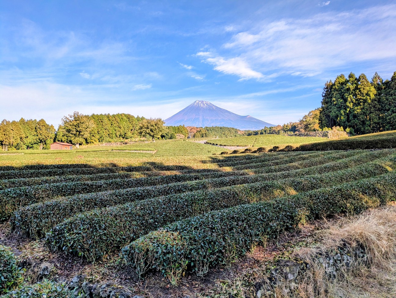 f:id:navi110:20251220180611j:image