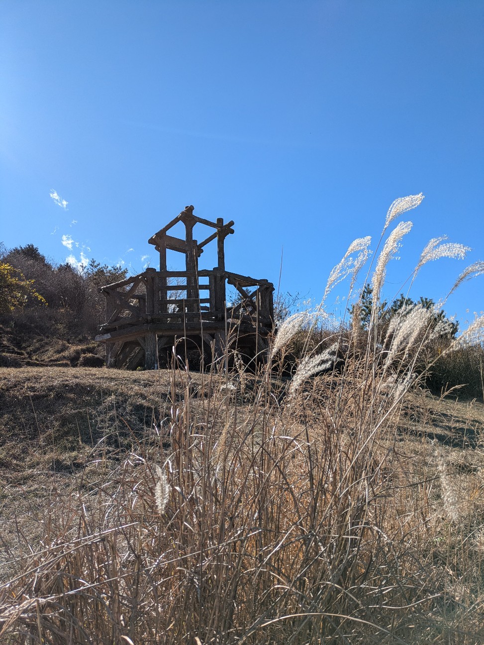 f:id:navi110:20251221171813j:image