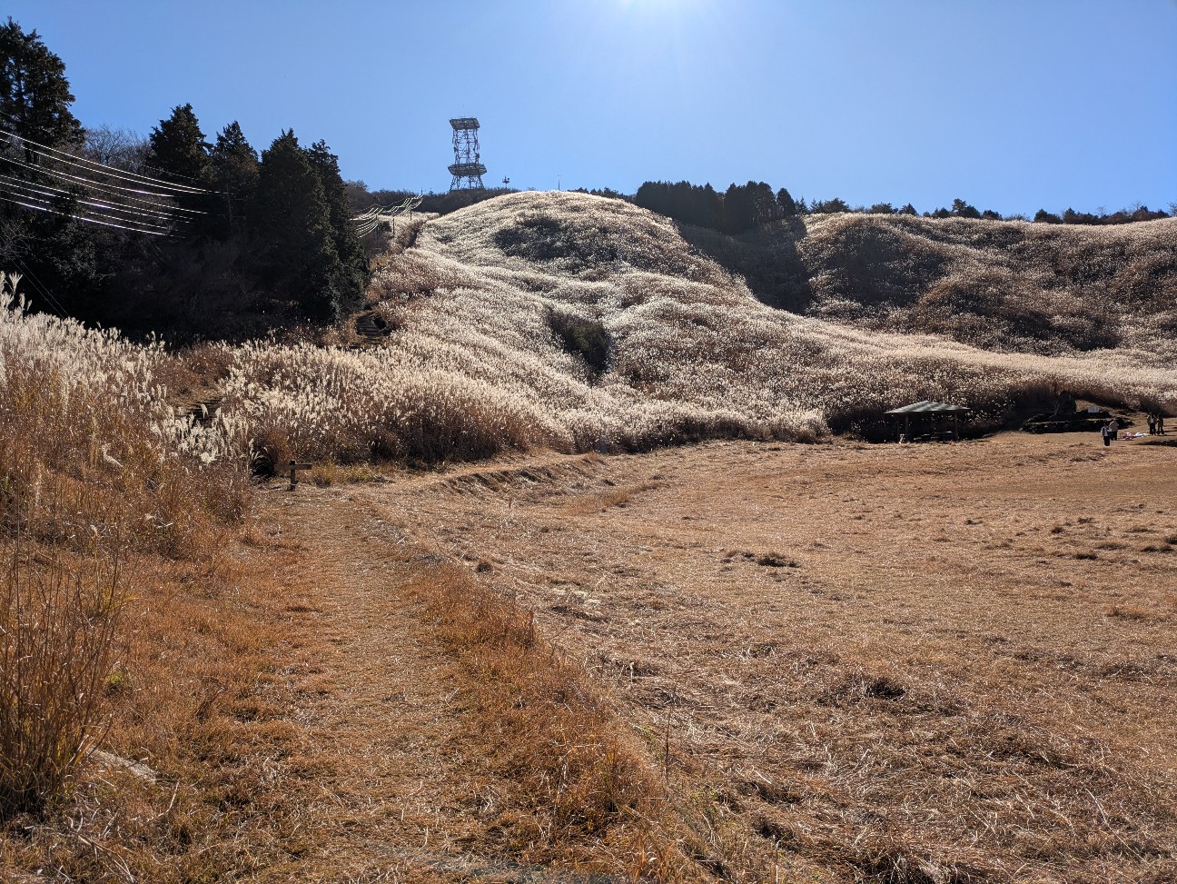 f:id:navi110:20251221172400j:image