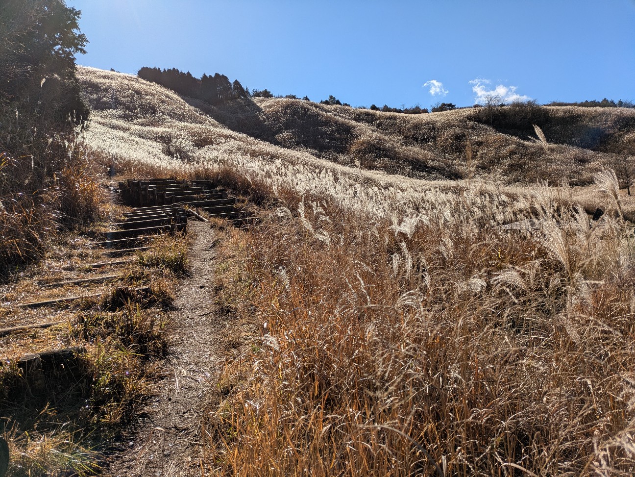 f:id:navi110:20251221172421j:image