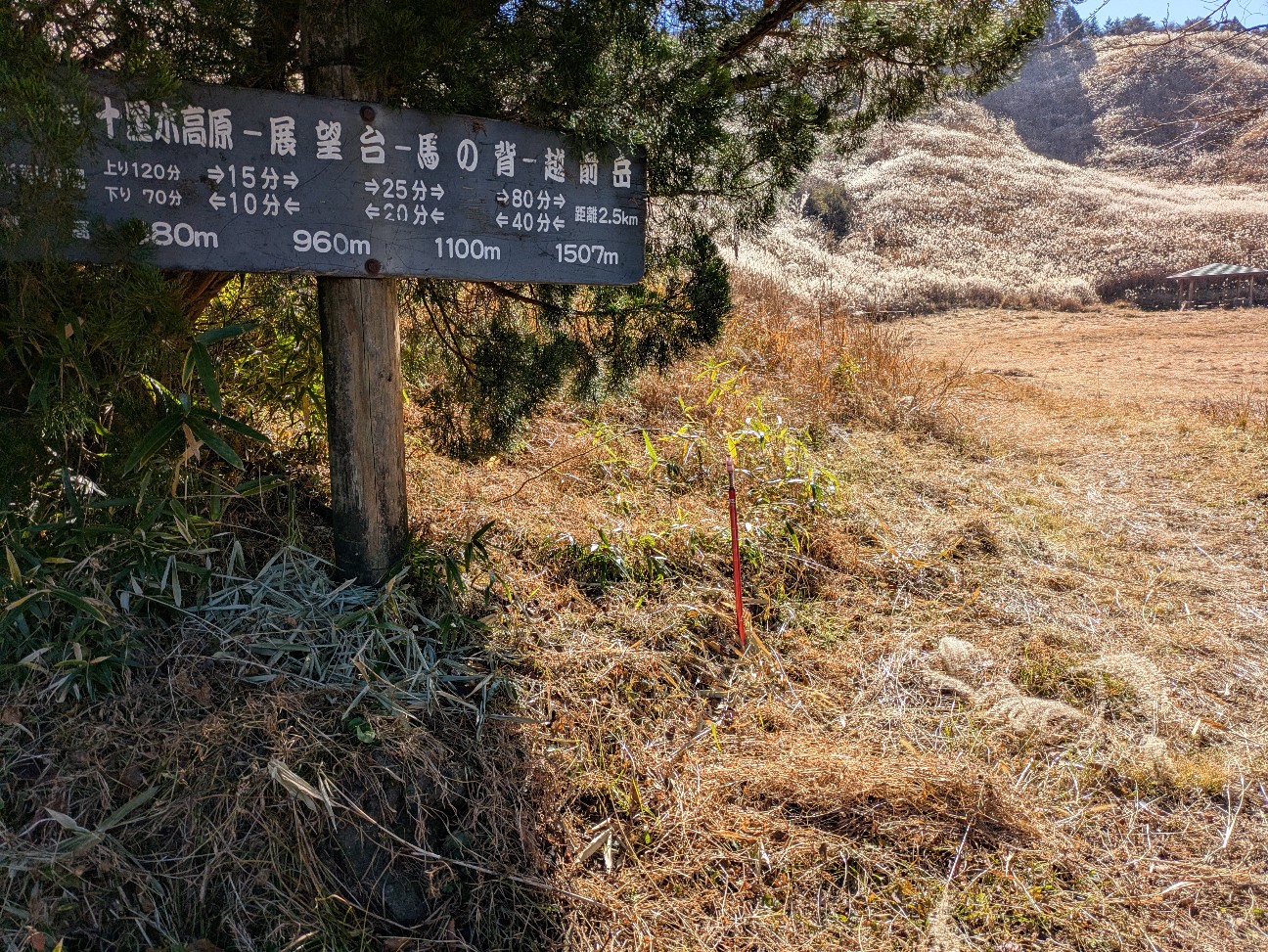 f:id:navi110:20251221172442j:image