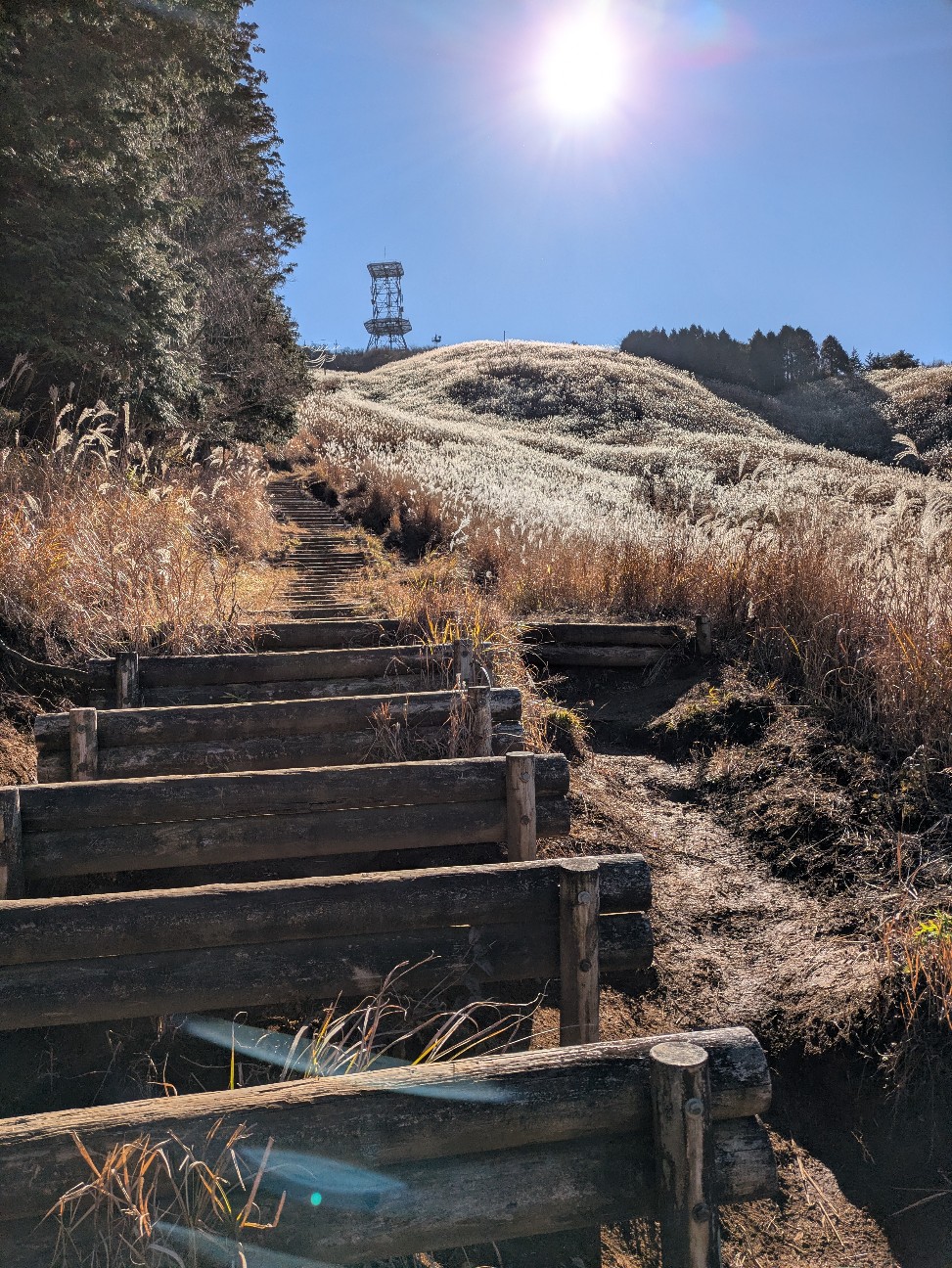 f:id:navi110:20251221172534j:image