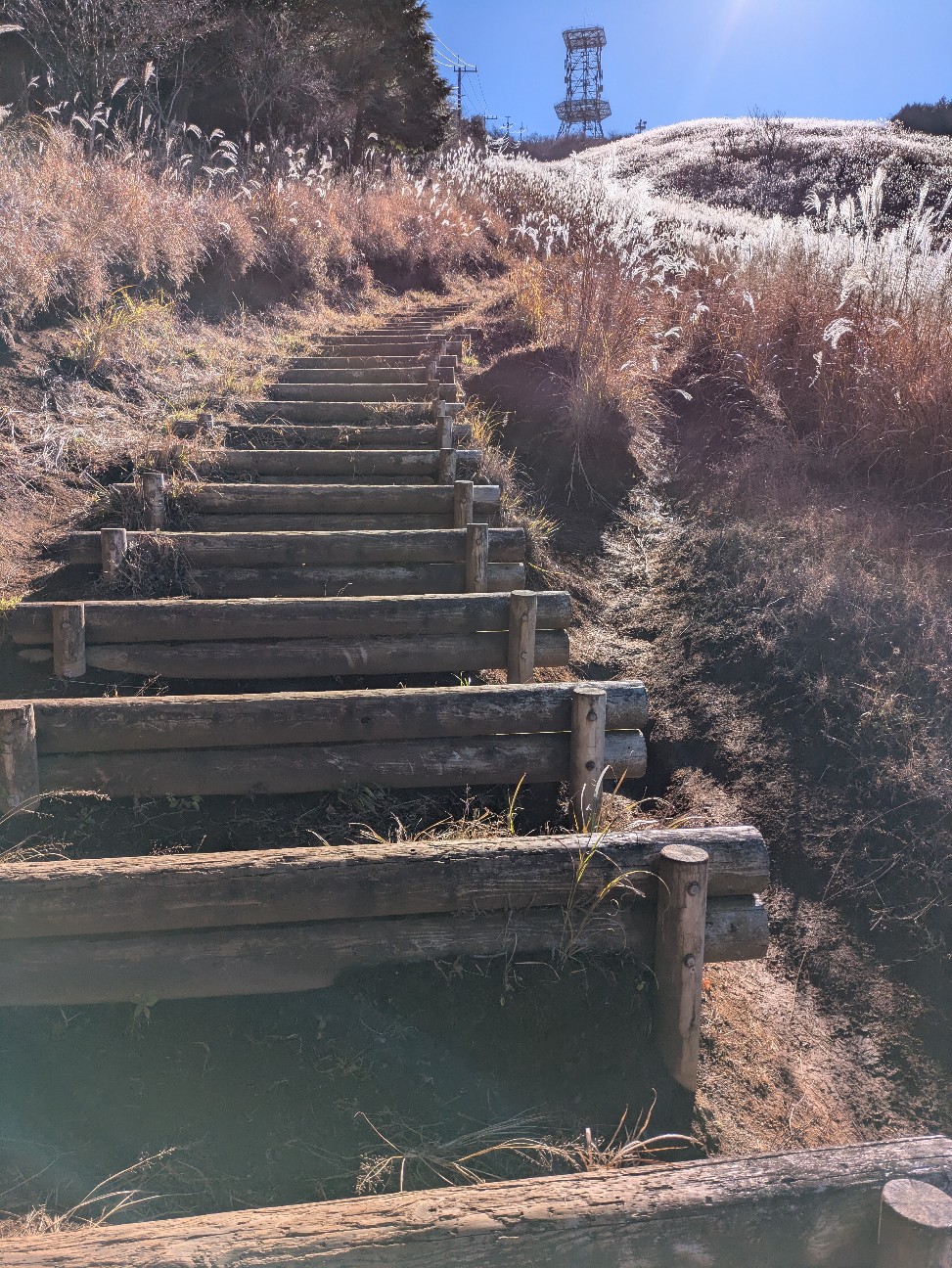 f:id:navi110:20251221172557j:image