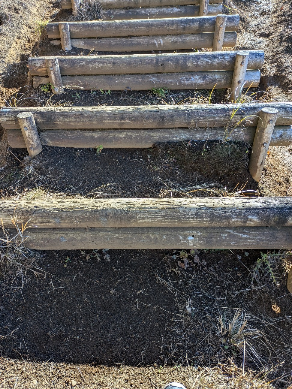 f:id:navi110:20251221172616j:image