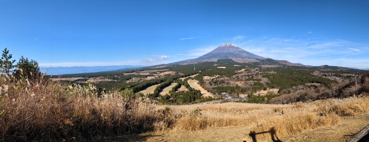 f:id:navi110:20251221173315j:image