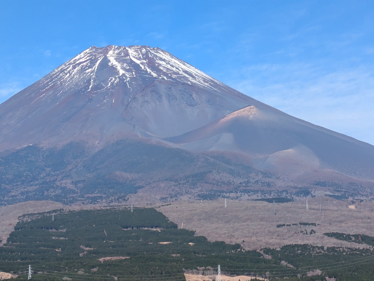 f:id:navi110:20251221173418j:image