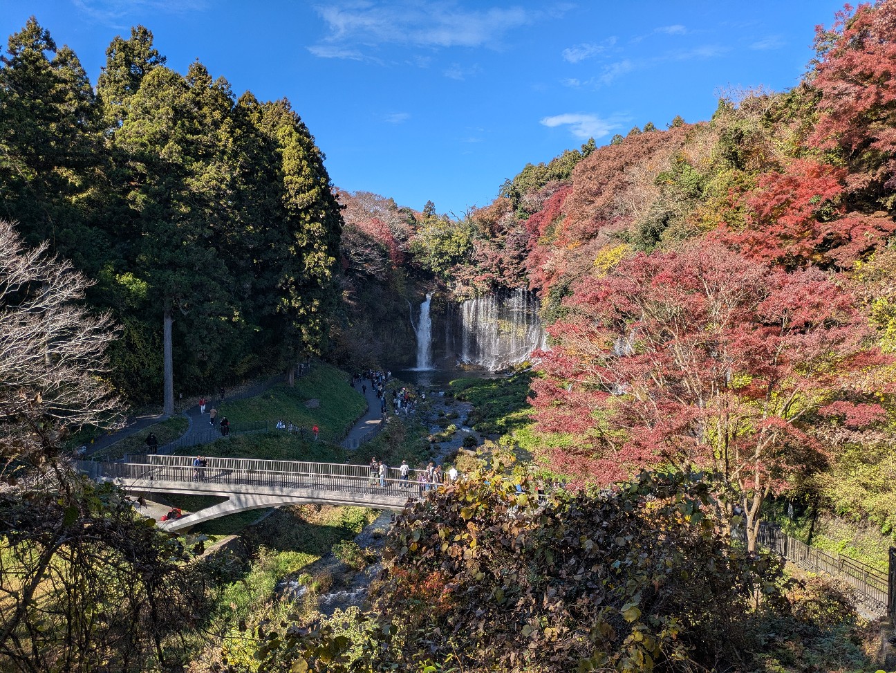 f:id:navi110:20251227171006j:image