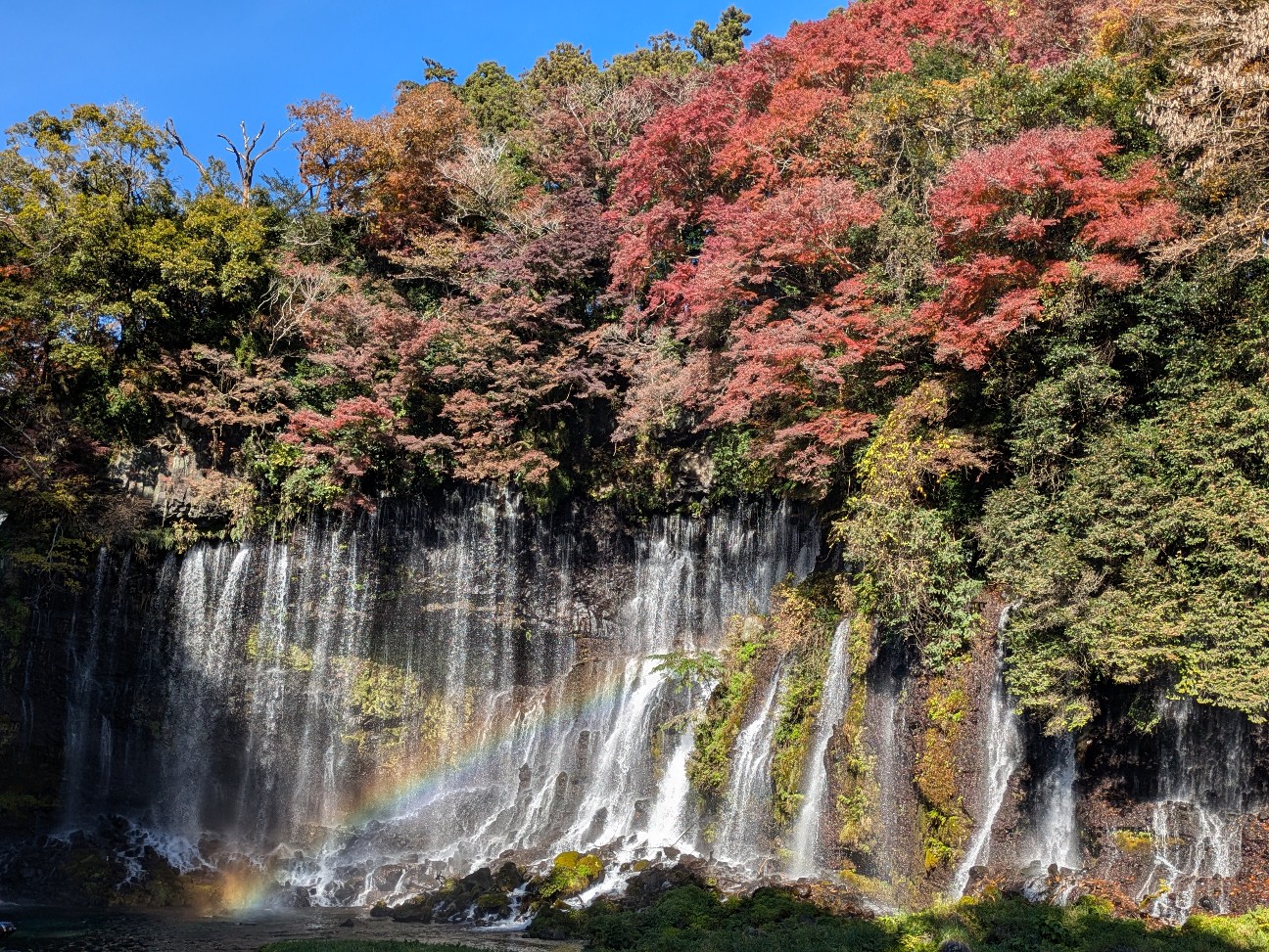 f:id:navi110:20251227171634j:image