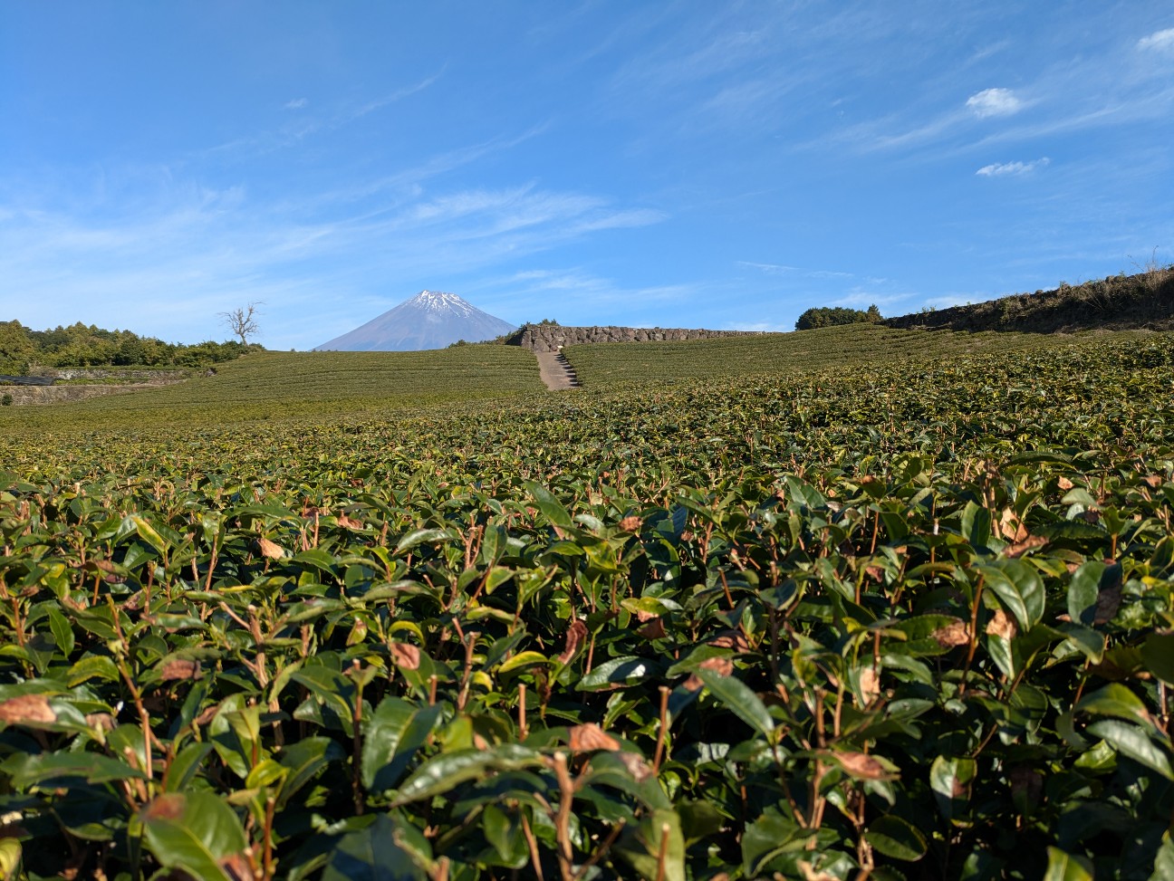 f:id:navi110:20251228183639j:image