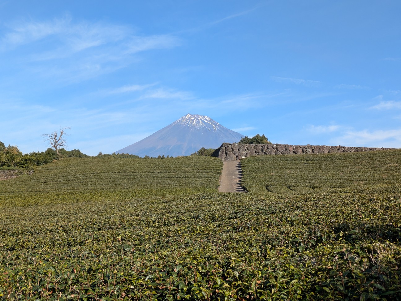 f:id:navi110:20251228183805j:image